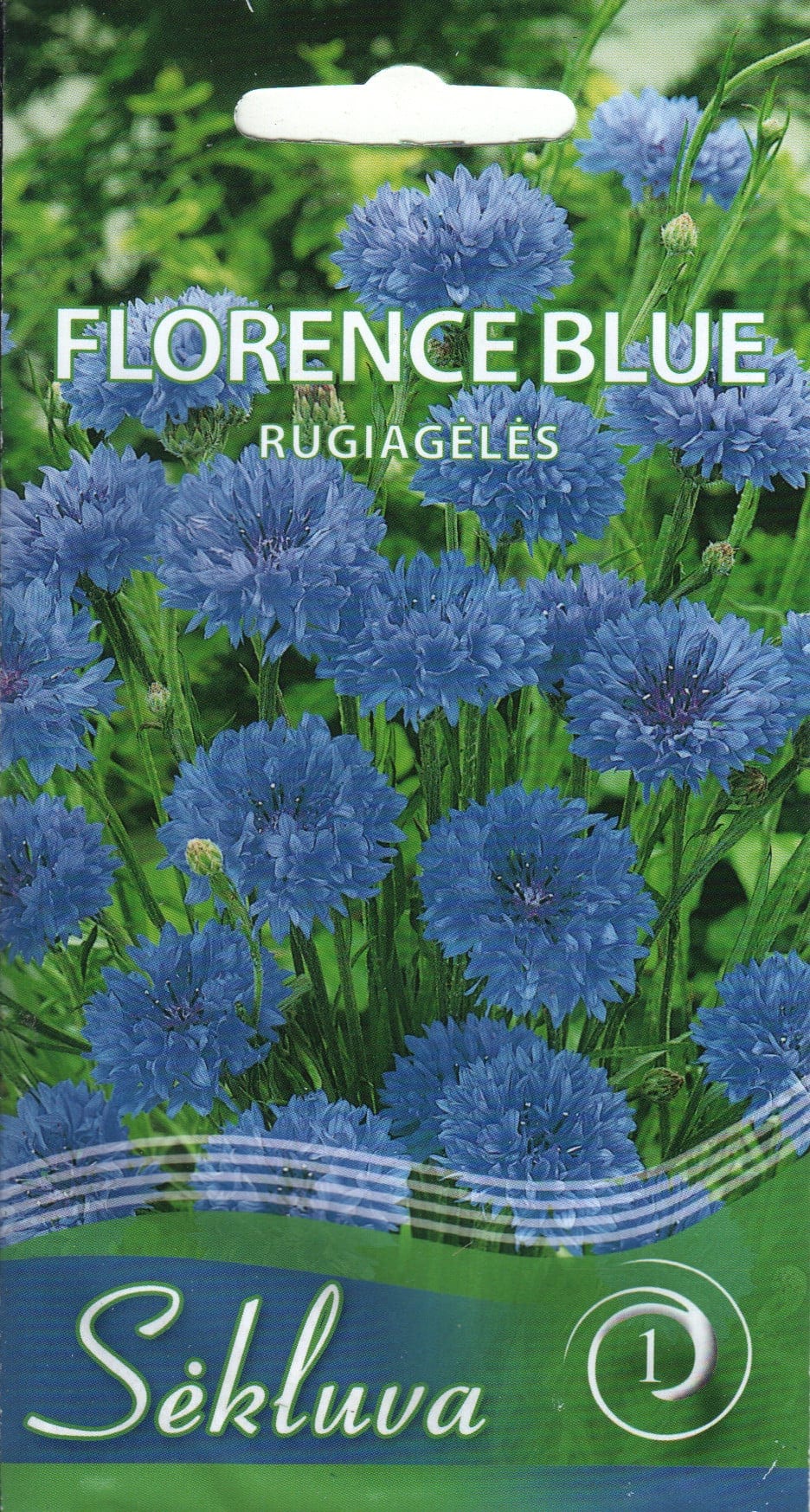 Rukkilill madal "Florence Blue"