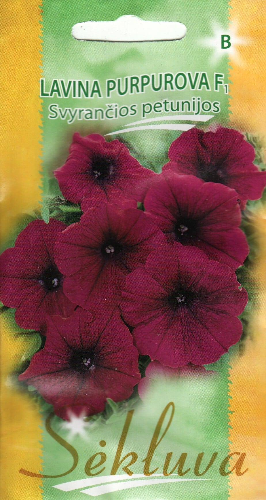 Ripp-petuunia "Lavina Purple Red" F1