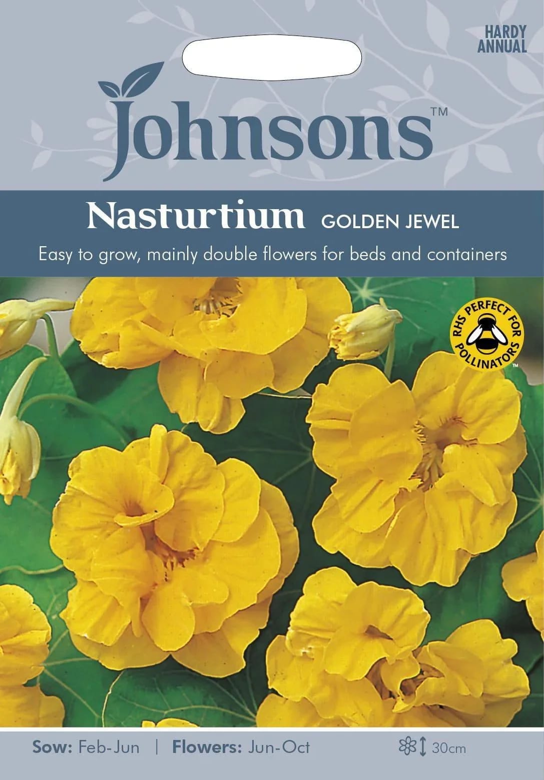 Väike mungalill "Golden Jewel"