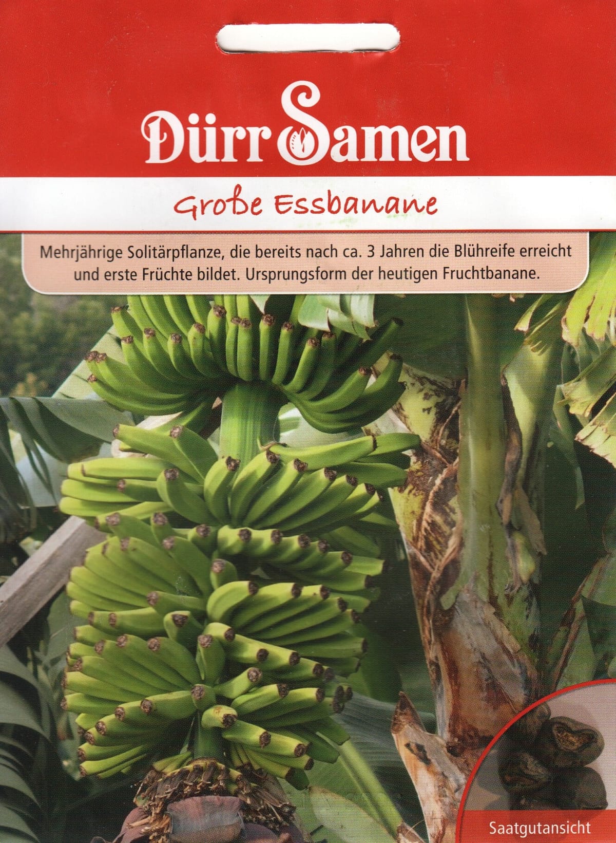 Pärisbanaan