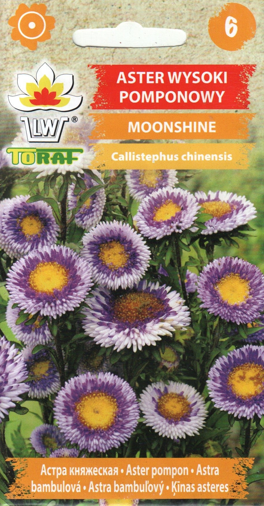 Aster "Moonshine Mix"