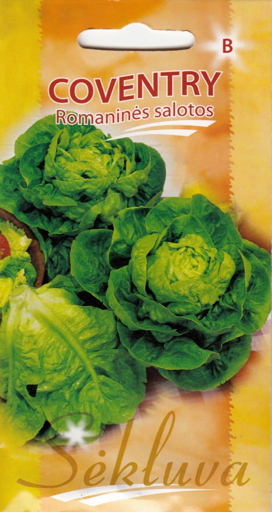 Rooma salat "Coventry"
