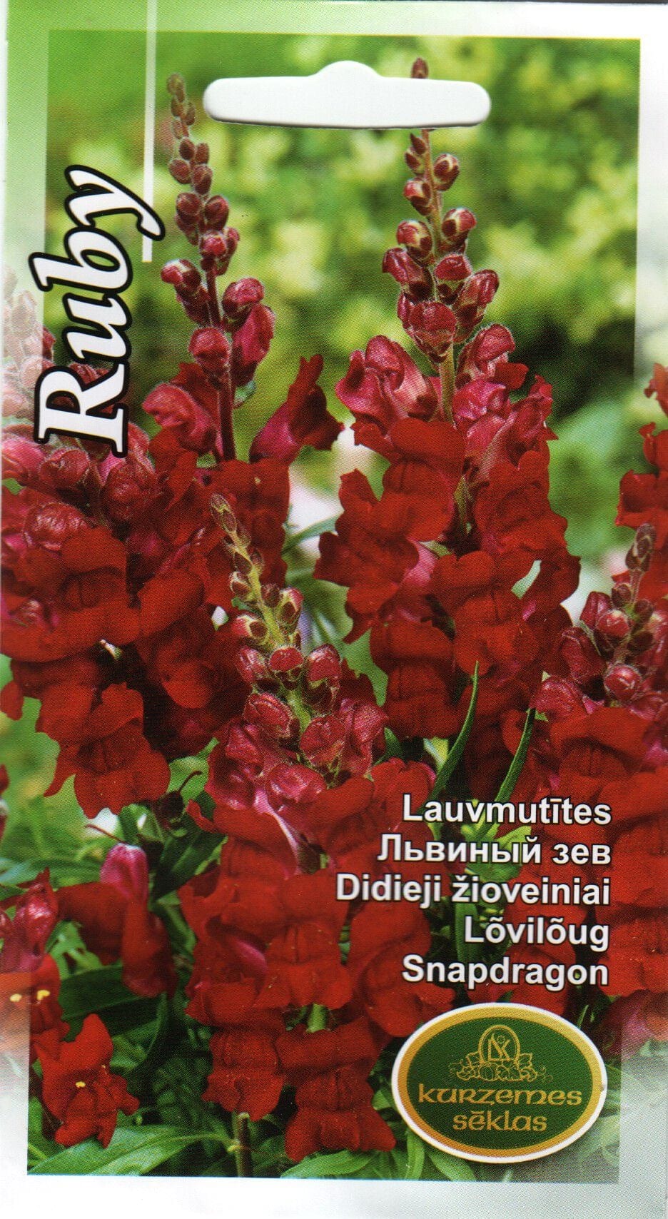 Lõvilõug "Ruby"