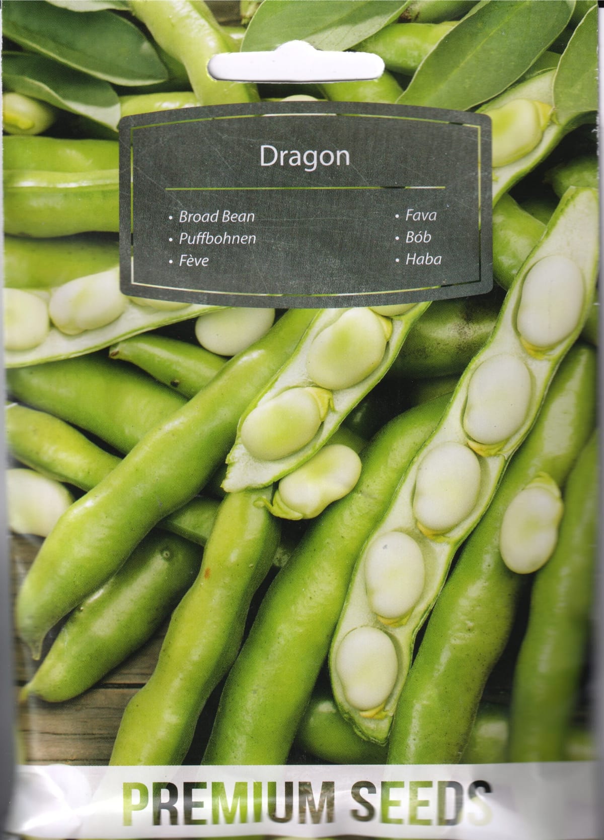 Põlduba  "Dragon"