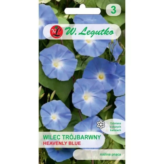 Verev lehtertapp "Heavenly Blue"