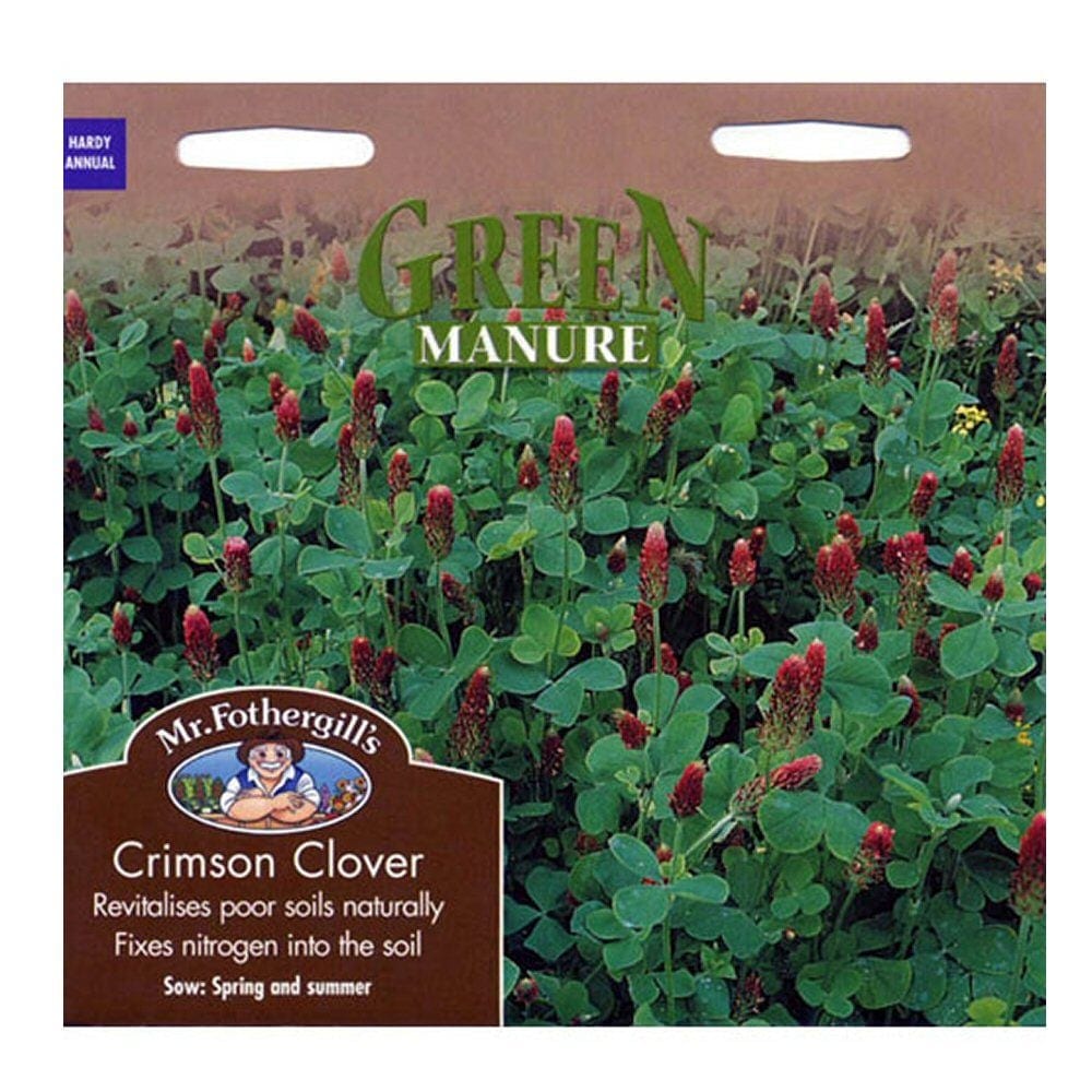 Kahkjaspunane ristik "Crimson Clover"