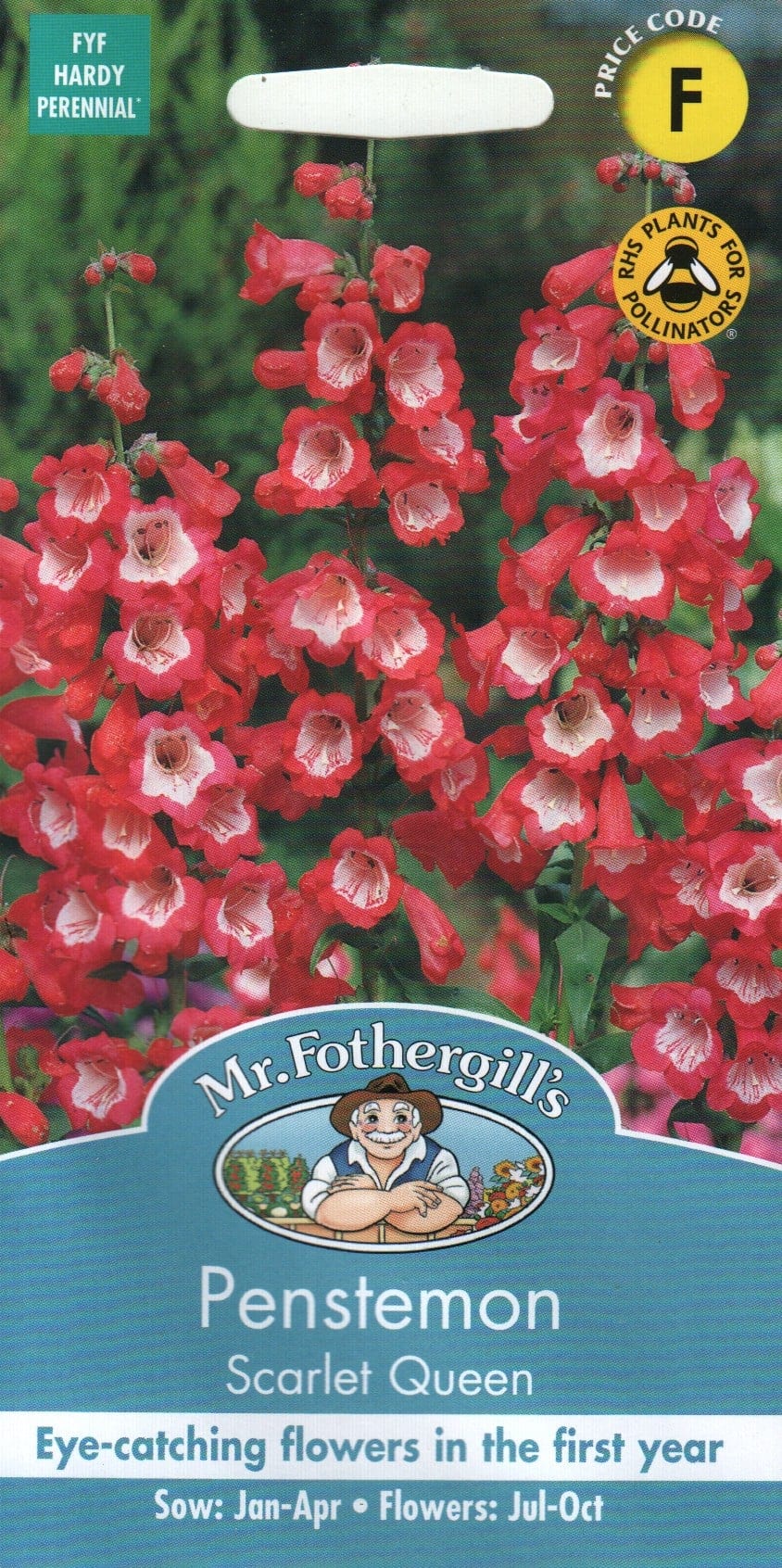 Emajuurjas peekerlill "Scarlet Queen"