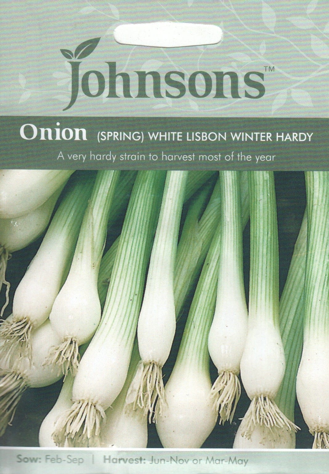 Sibul "White Lisbon Winter Hardy"