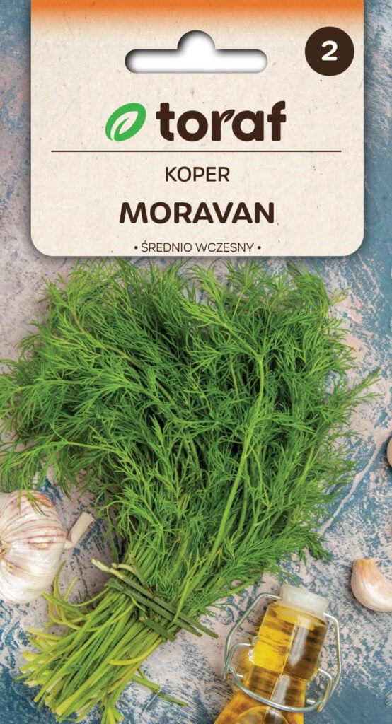 Aedtill "Moravan"