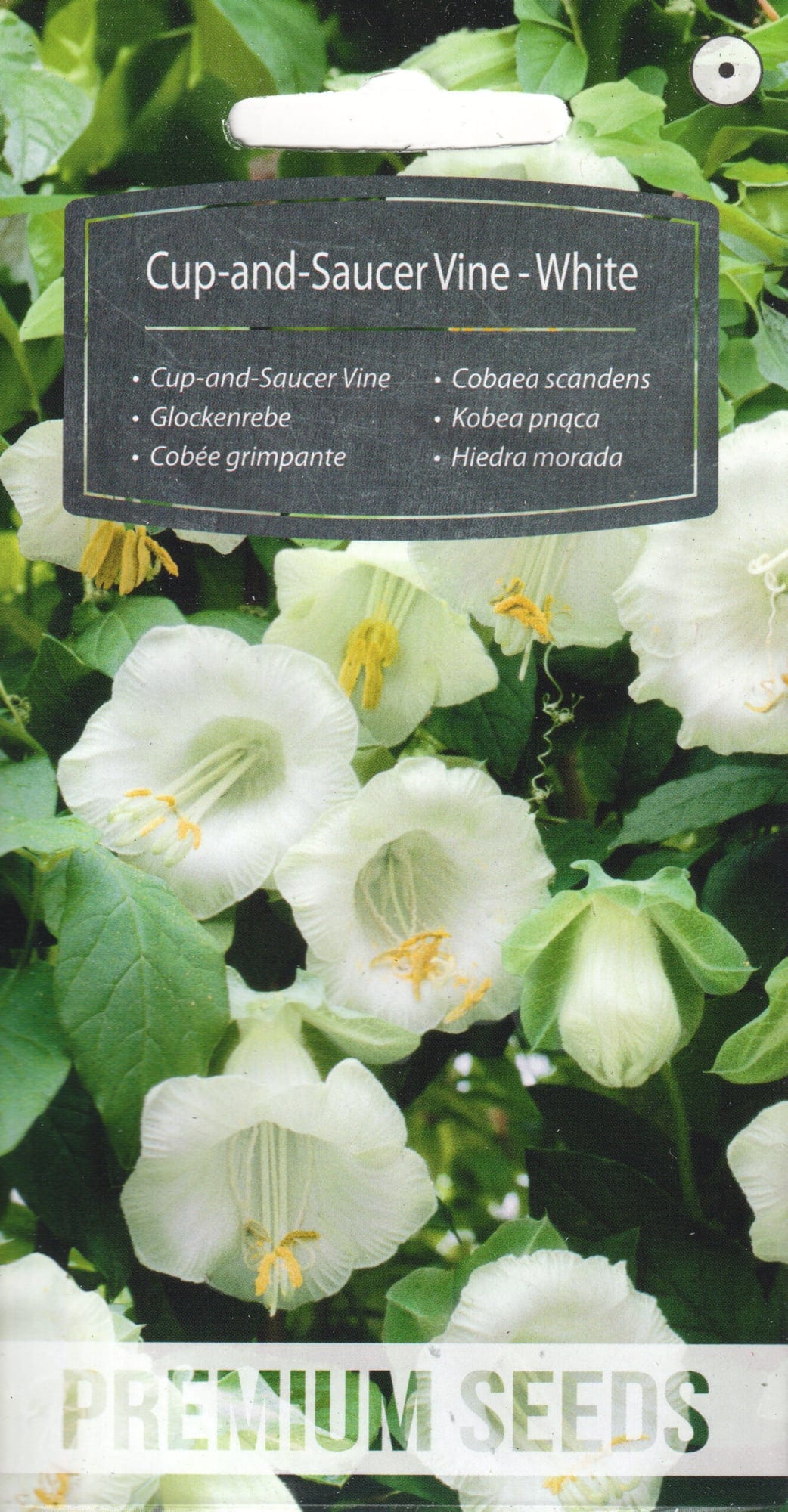 Mehhiko vanikkuljus "White"
