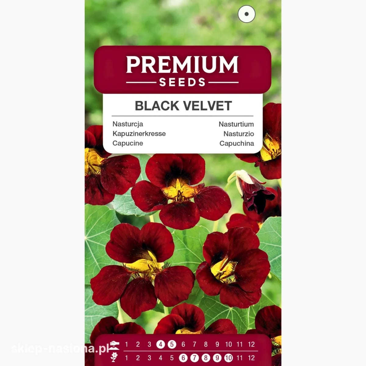 Mungalill "Black Velvet"
