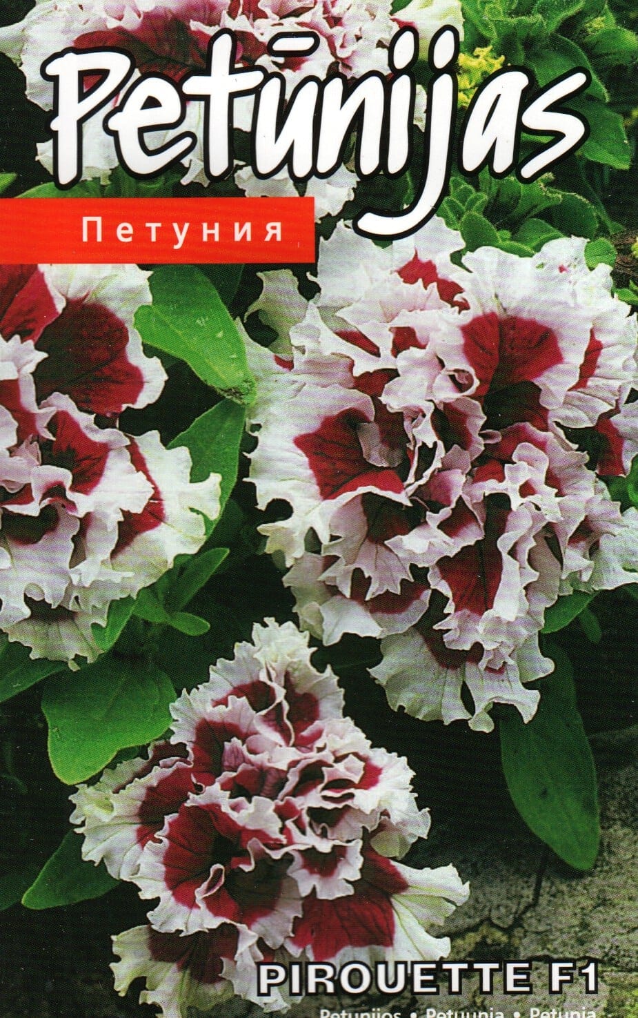 Petuunia "Pirouette" F1