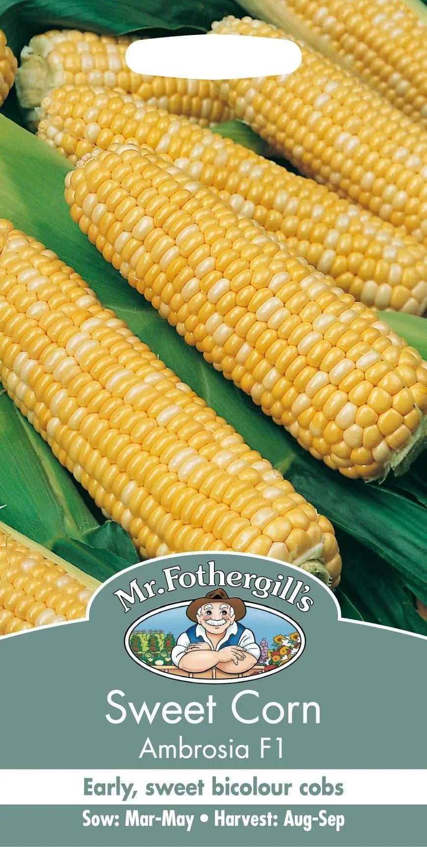Suhkrumais "Ambrosia" F1
