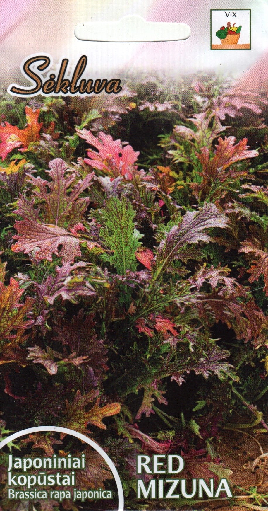 Misuuna "Red Mizuna"