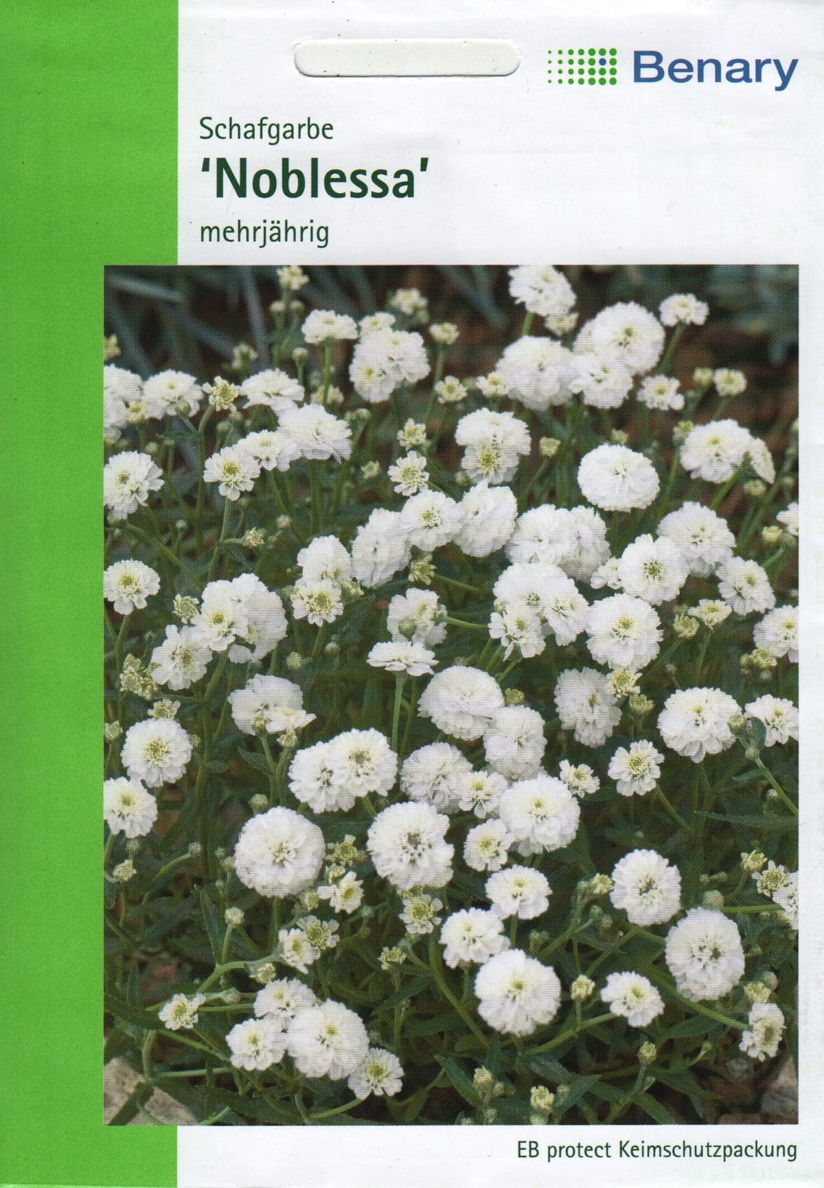 Võsa-raudrohi "Noblessa"