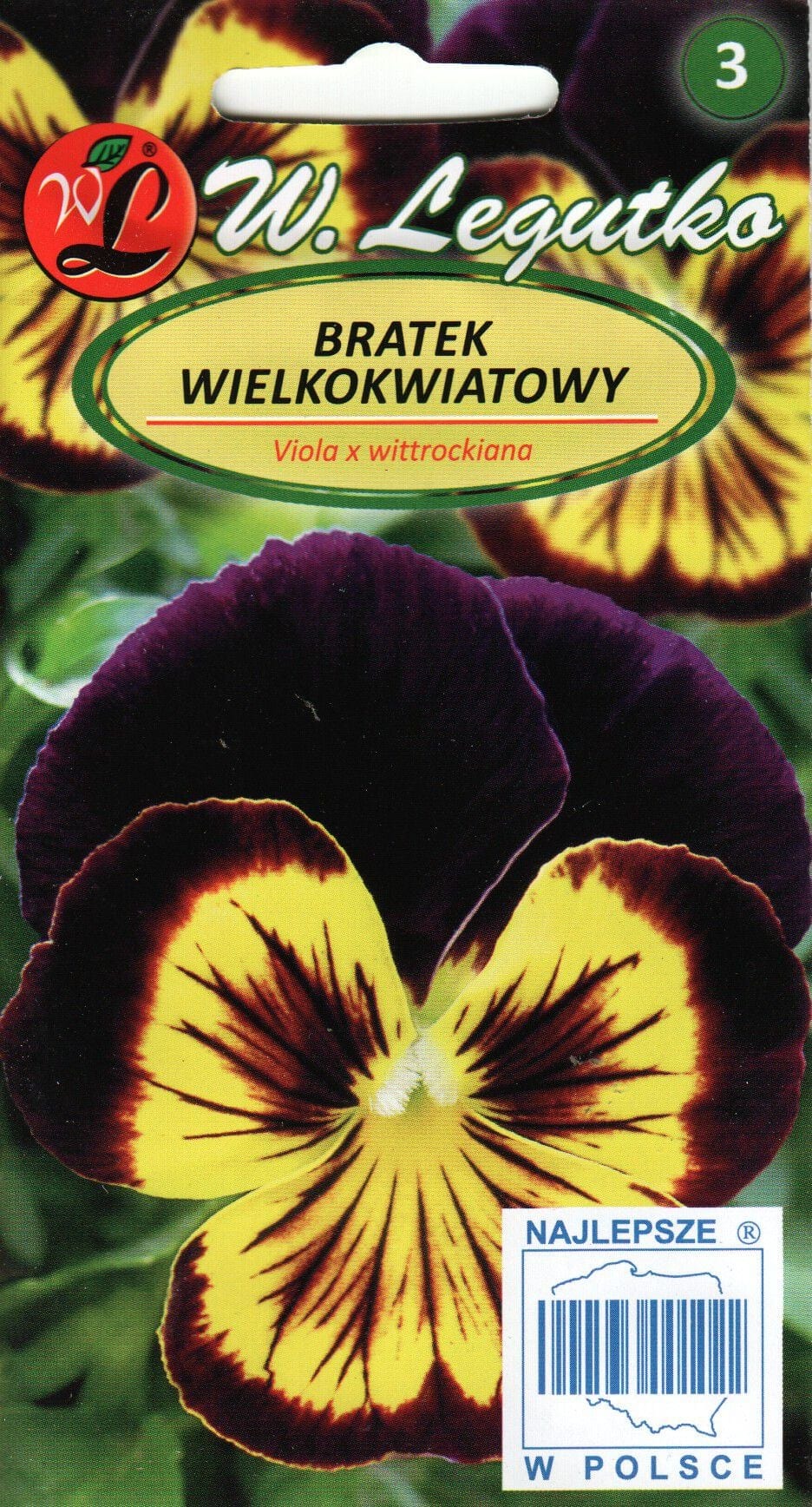 Võõrasema kirju