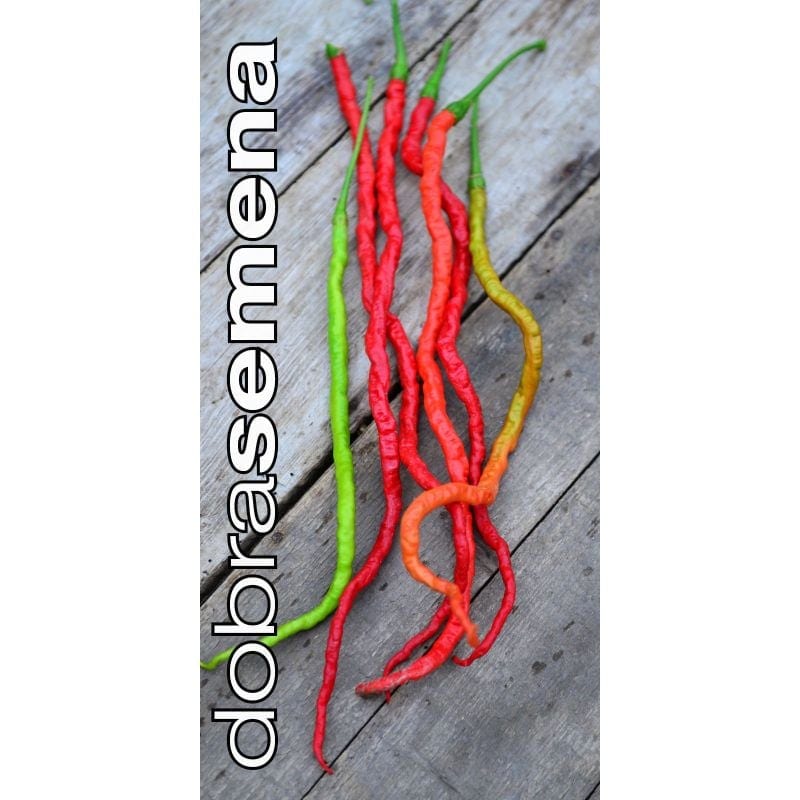 Kibepaprika "Dolly Long Red"