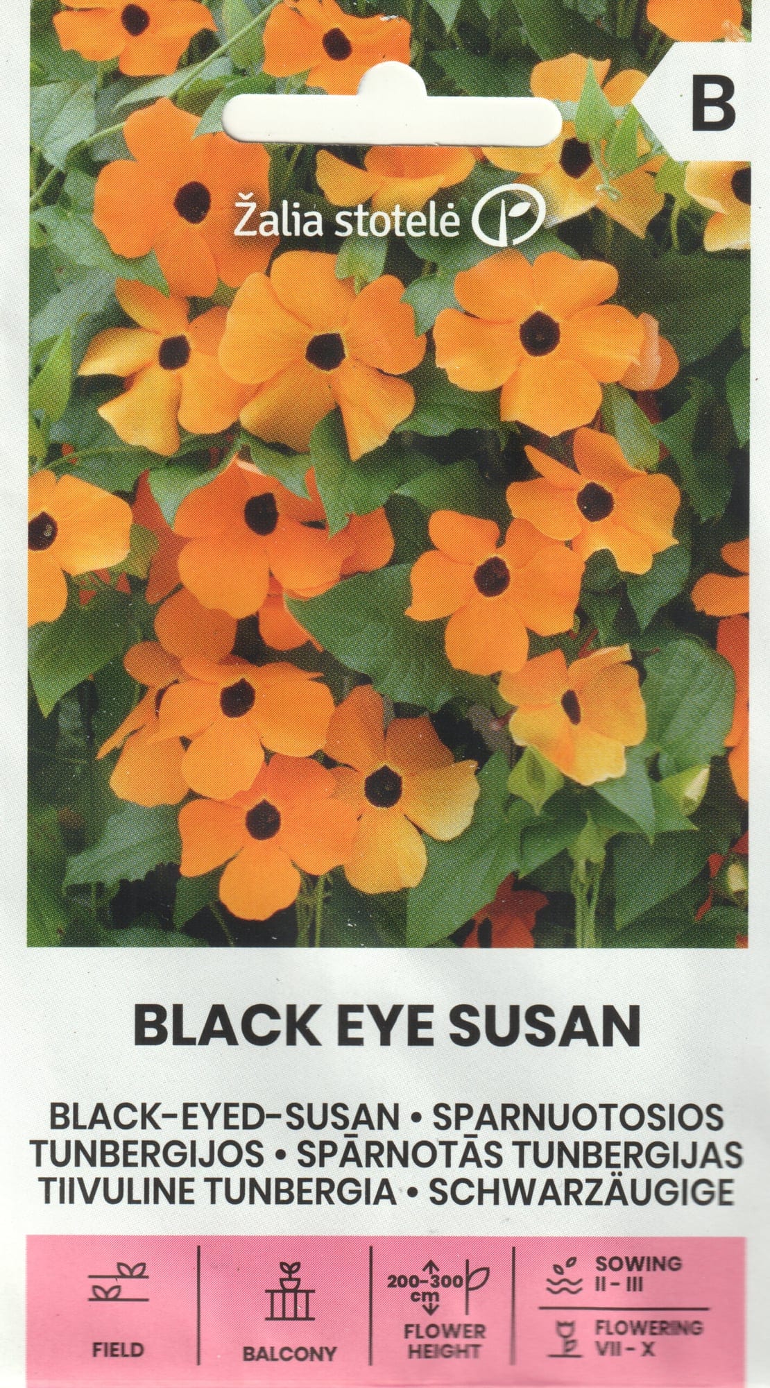 Tiivuline tunbergia "Black Eye Susan"