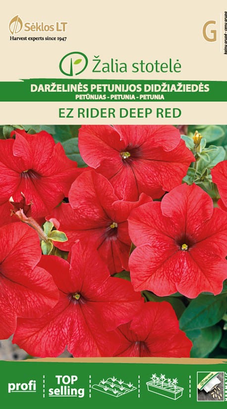 Petuunia "Ez Rider Deep Red"