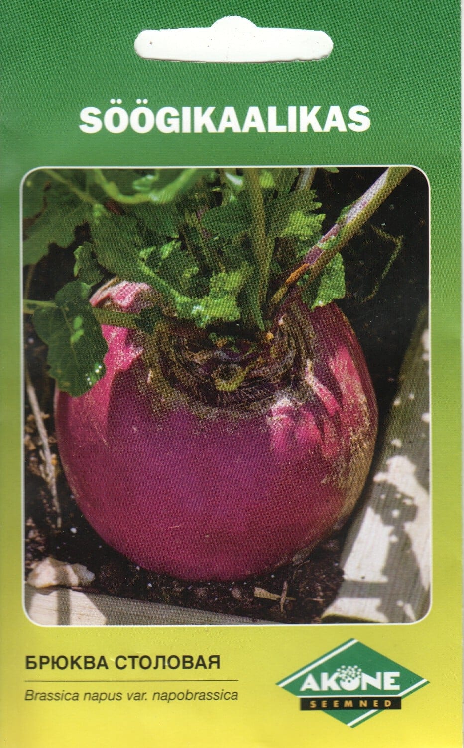 Kaalikas "Champion Purple Top"