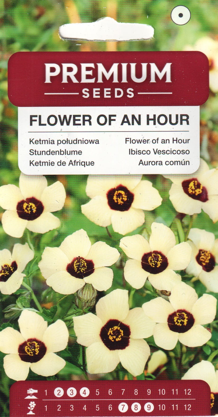 Kolmetine hibisk