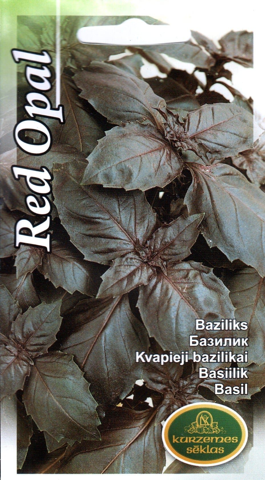 Vürtsbasiilik "Red Opal"