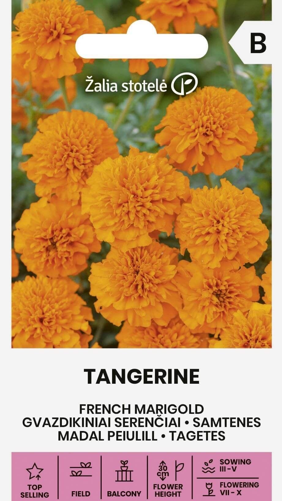 Peiulill "Tangerine"