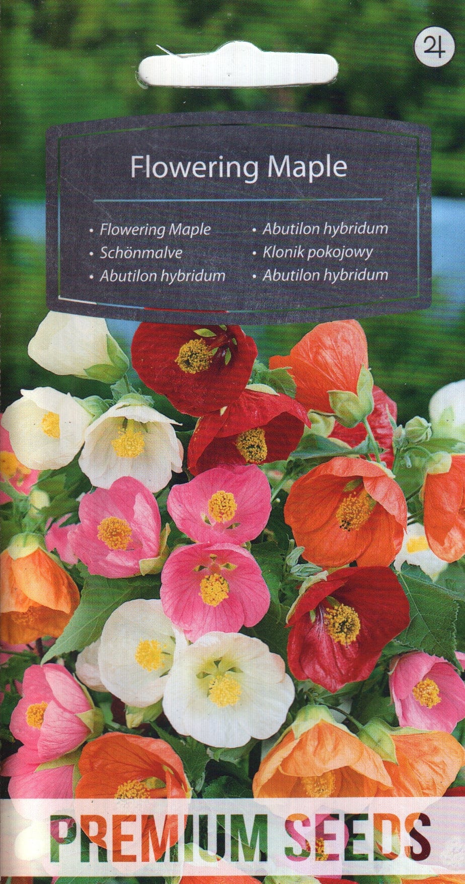 Värd-abuutilon segu