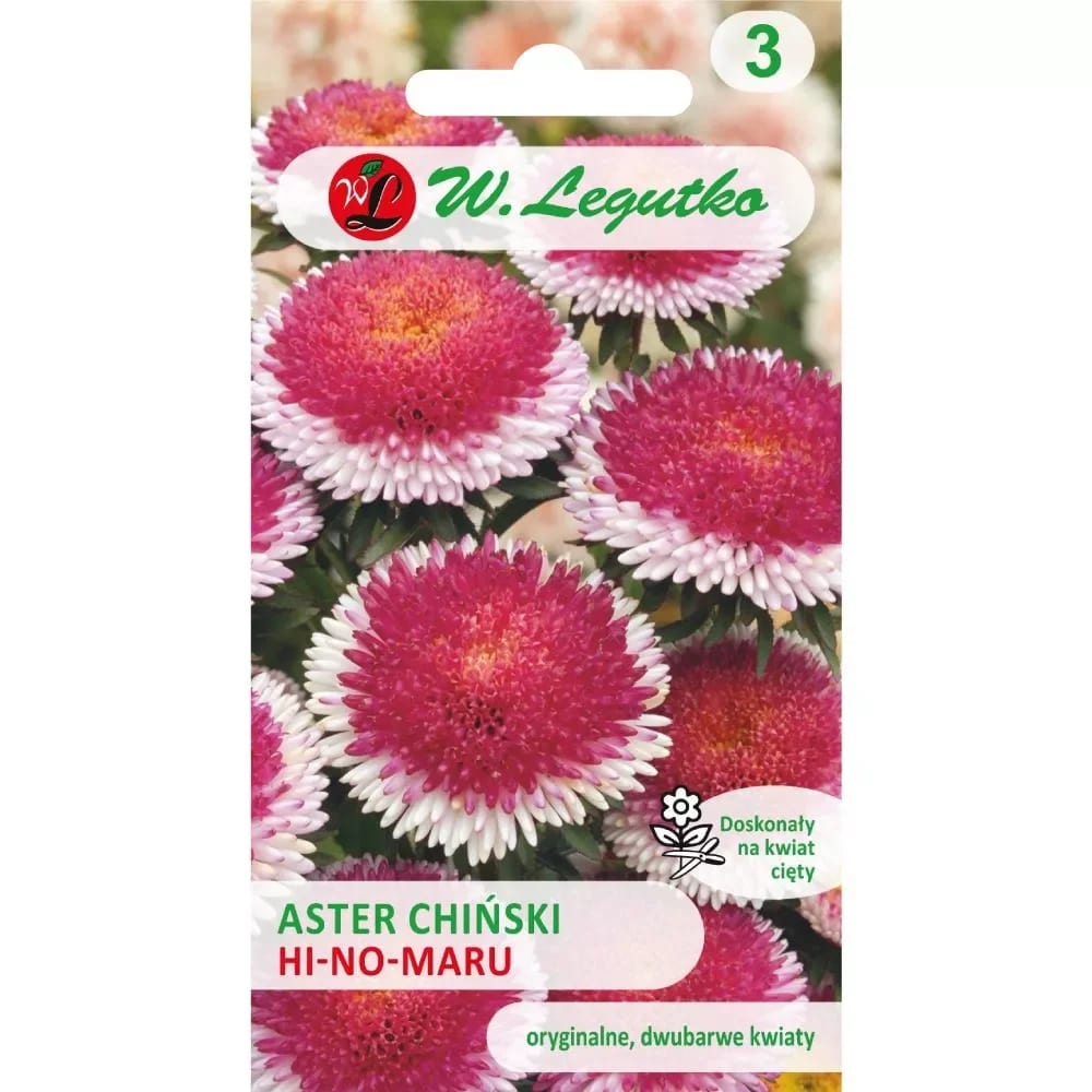 Aster "Liliput Hi-No-Maru"
