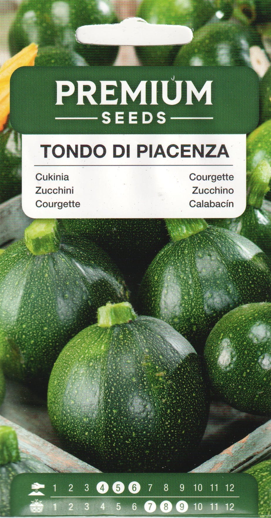 Kabatšokk "Tondo di Piacenza"