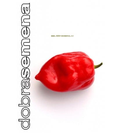Kariibi paprika "Numex Suave Red"
