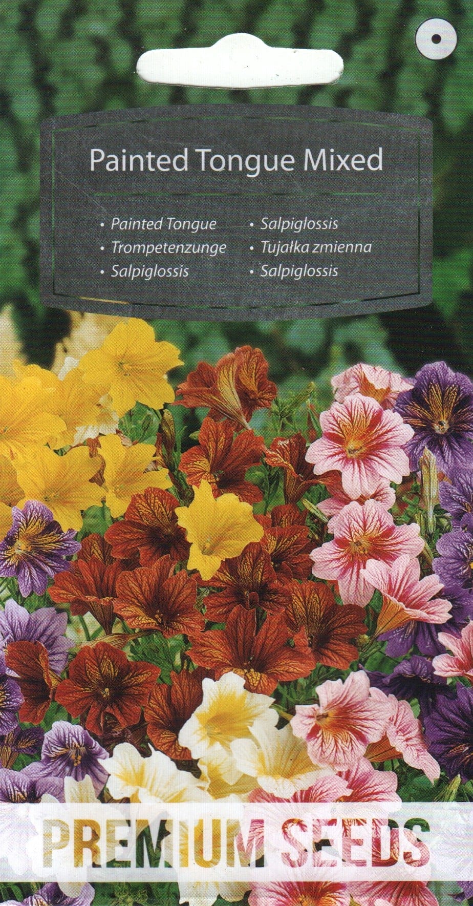 Sämpunud trompetlill