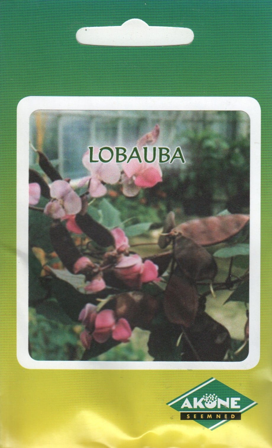 Lobauba