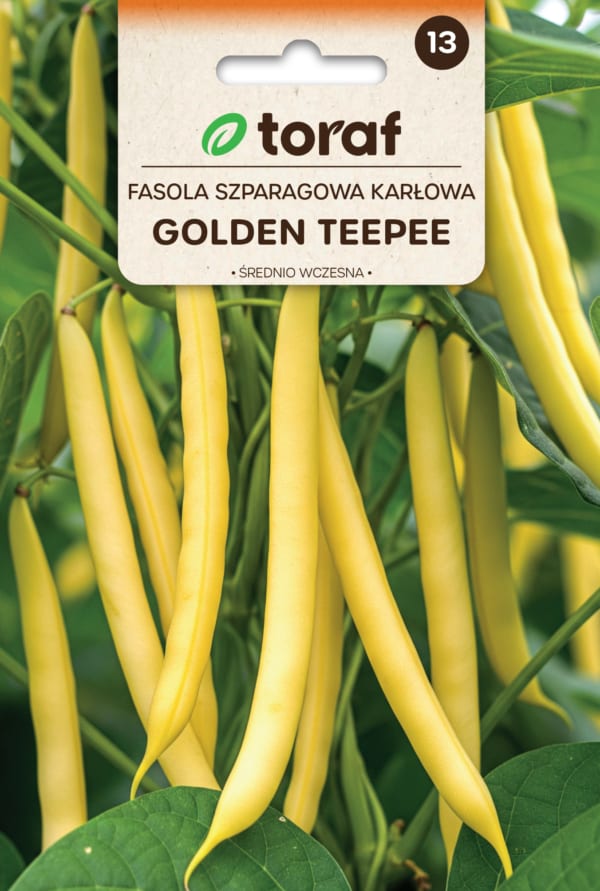 Aeduba "Golden Teepee"