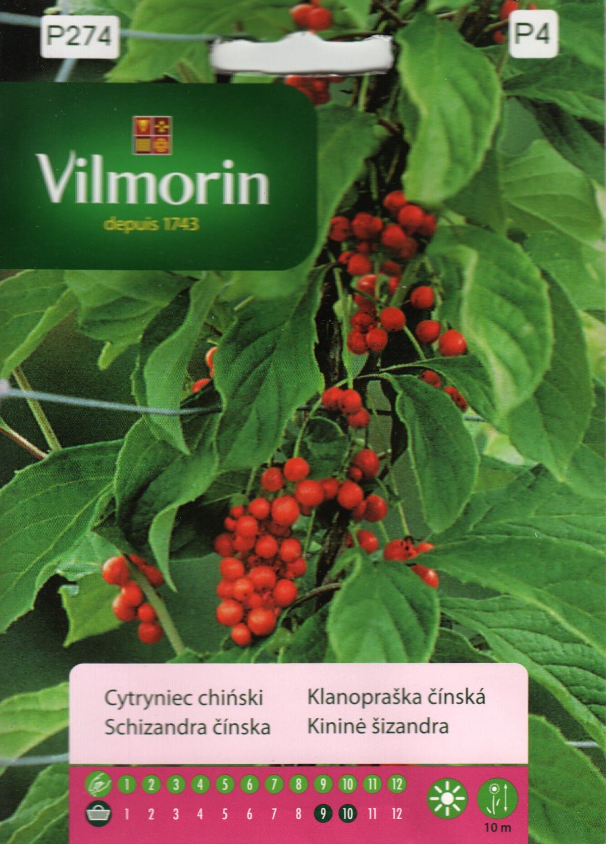 Hiina sidrunväändik
