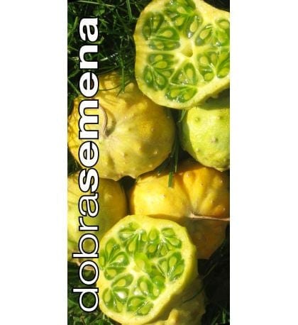 Ogamelon / kiwano "Jelly Round"