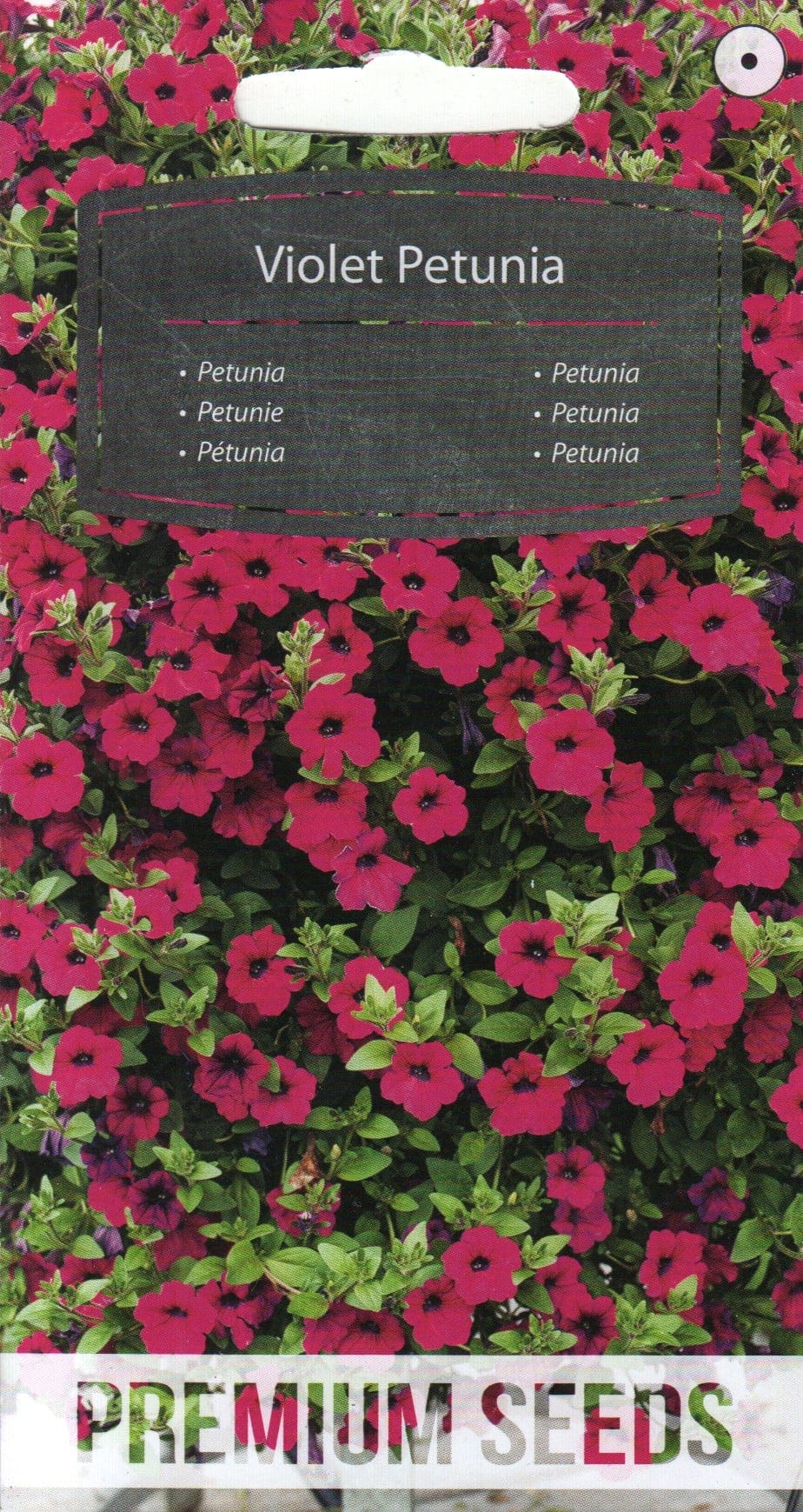 Violetne petuunia