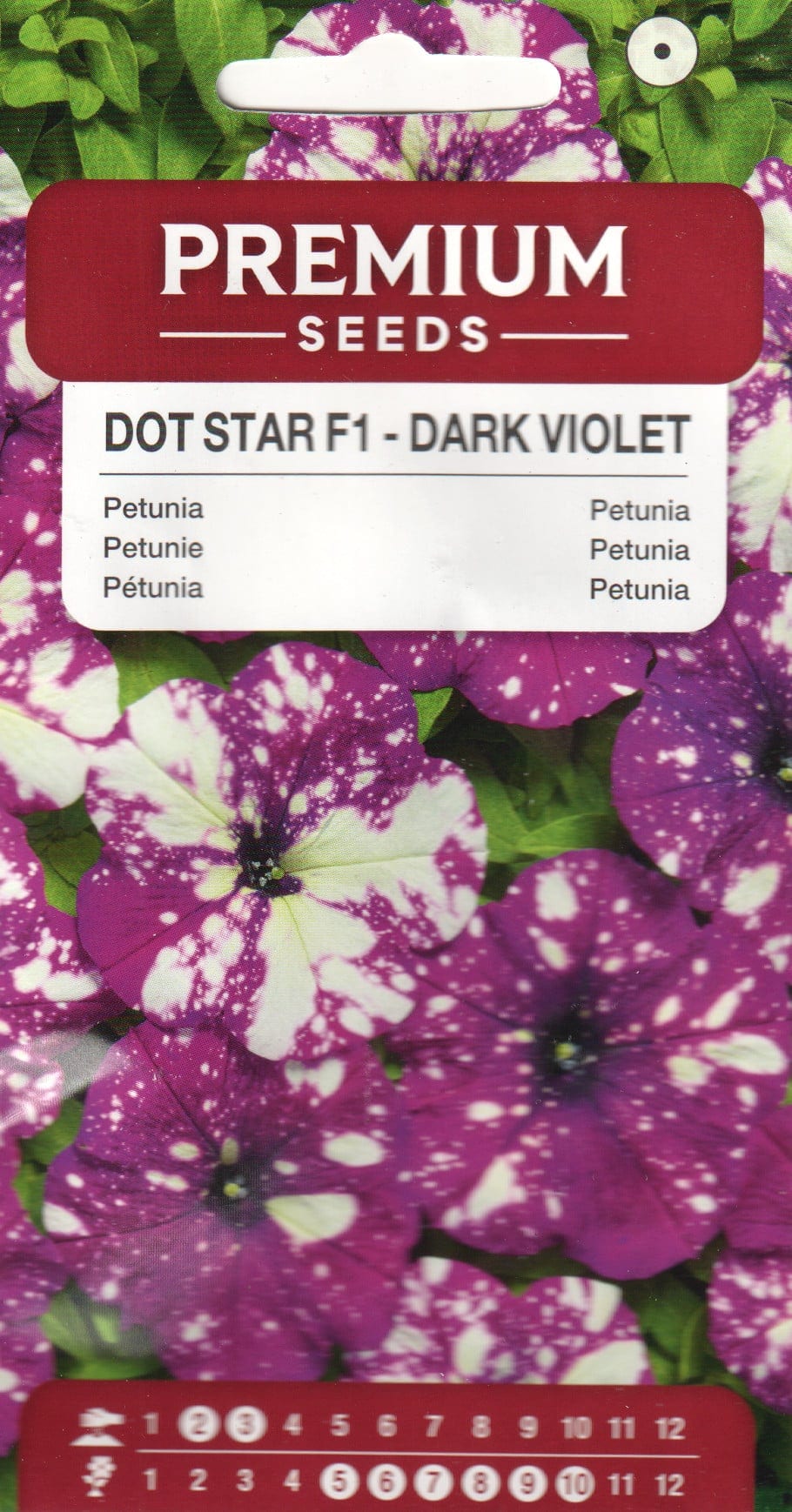 Petuunia "Dot Star Dark Violet" F1