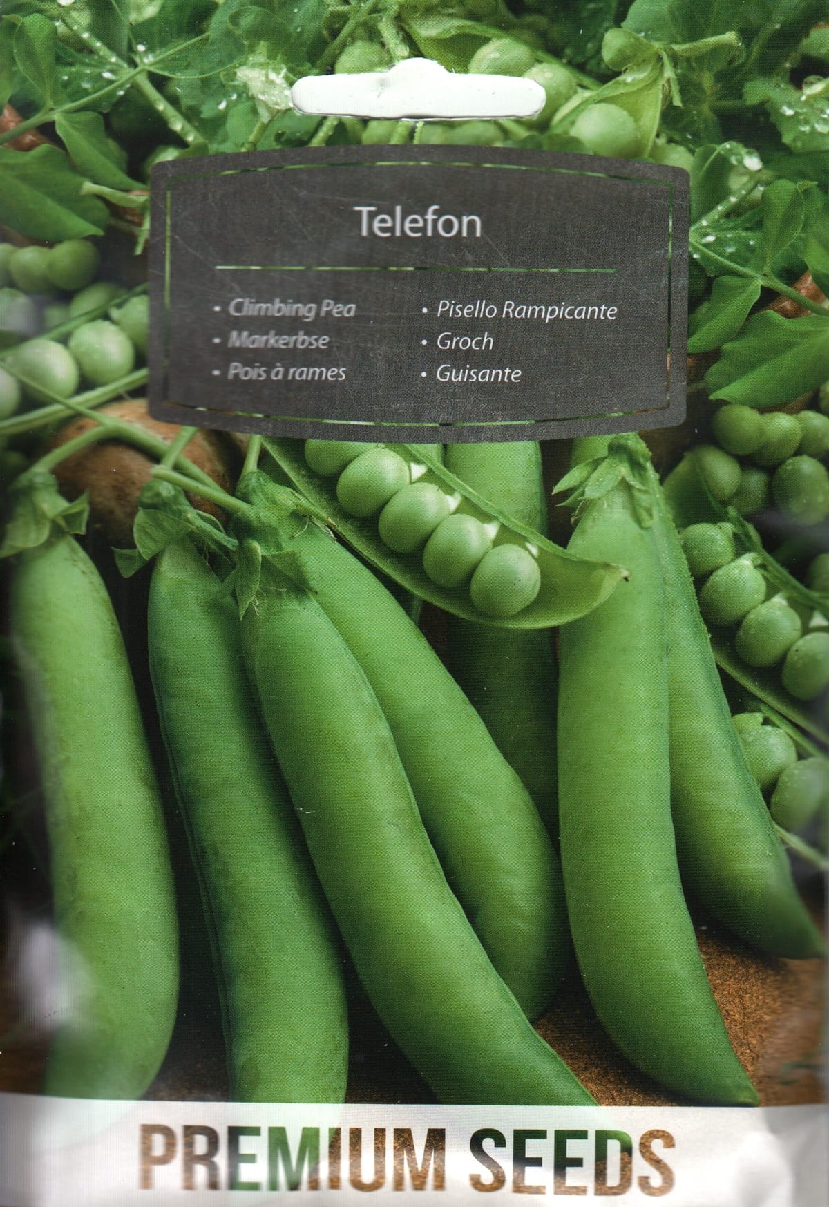 Aedhernes kõrge "Telefon" / "Telephone"