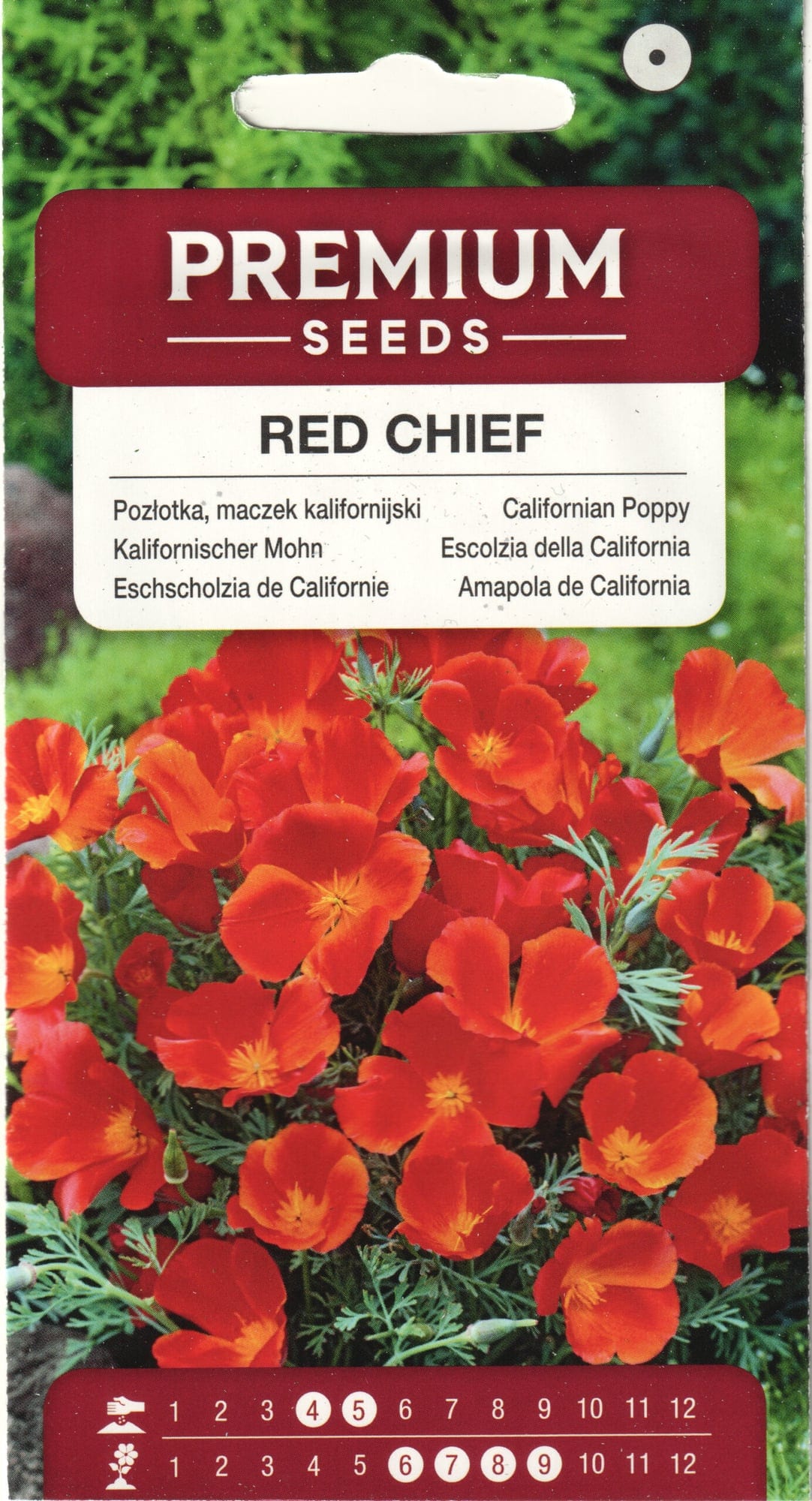 Kalifornia läänemagun "Red Chief"