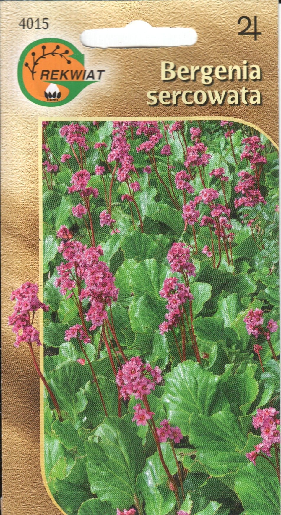 Südajalehine bergeenia