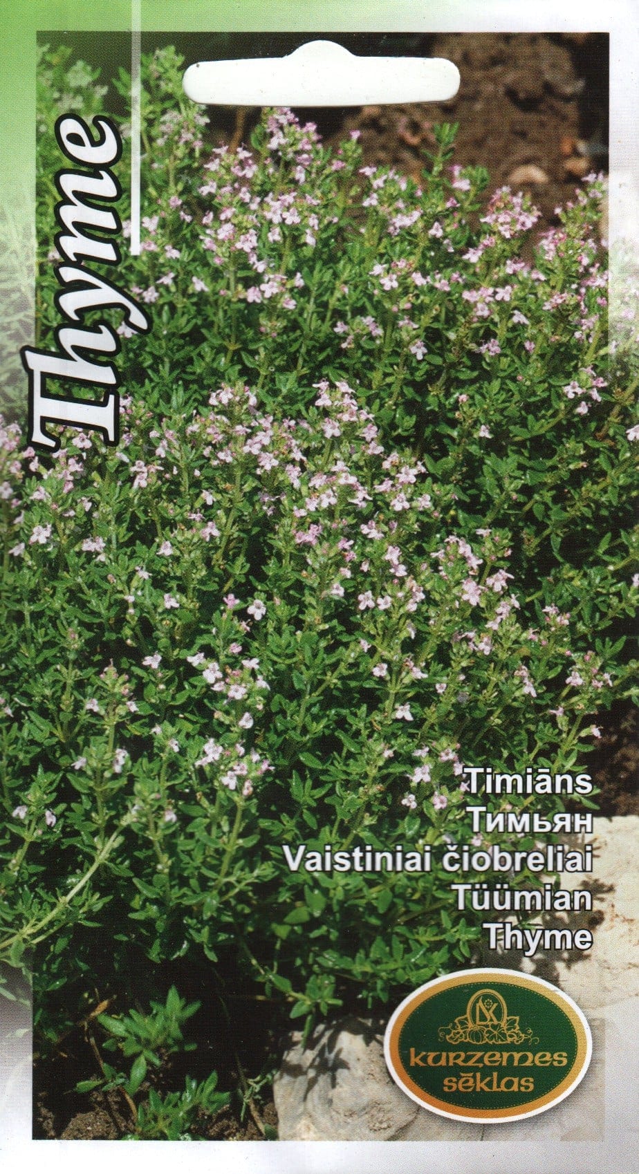 Tüümian ehk aed-liivatee