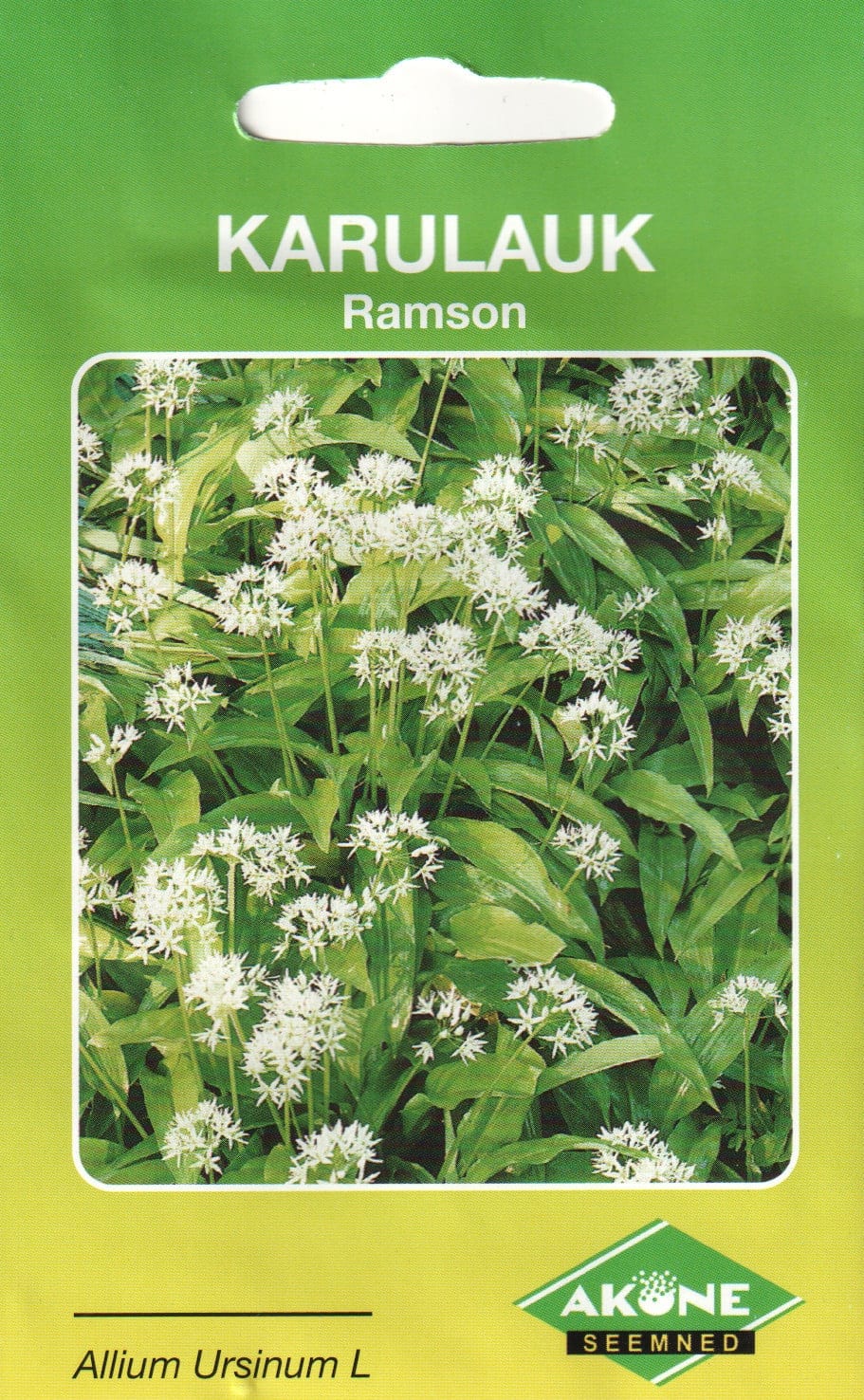 Karulauk "Ramson"