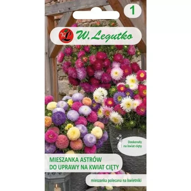 Aster lõikeõite segu