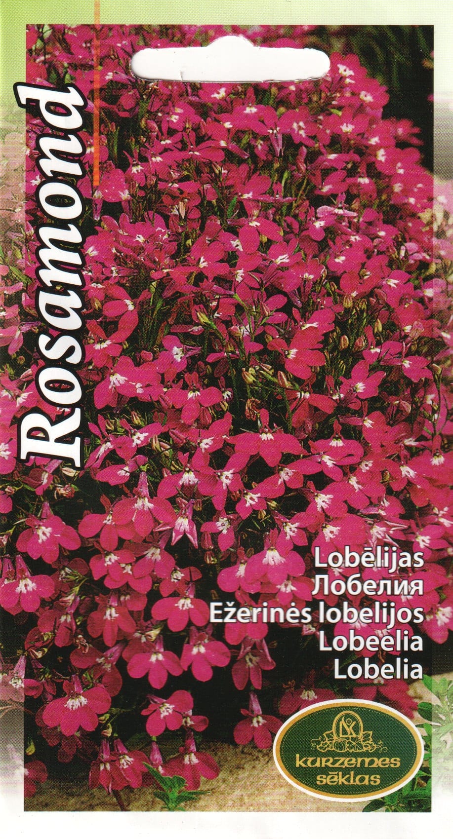 Lobeelia "Rosamond"