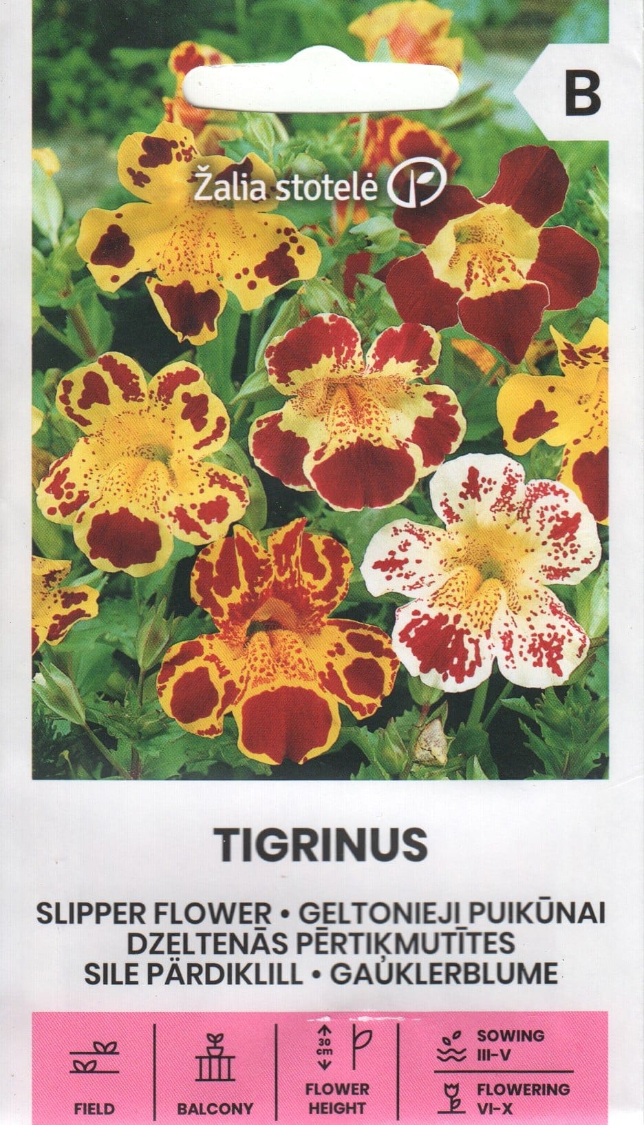 Sile pärdiklill "Tigrinus"