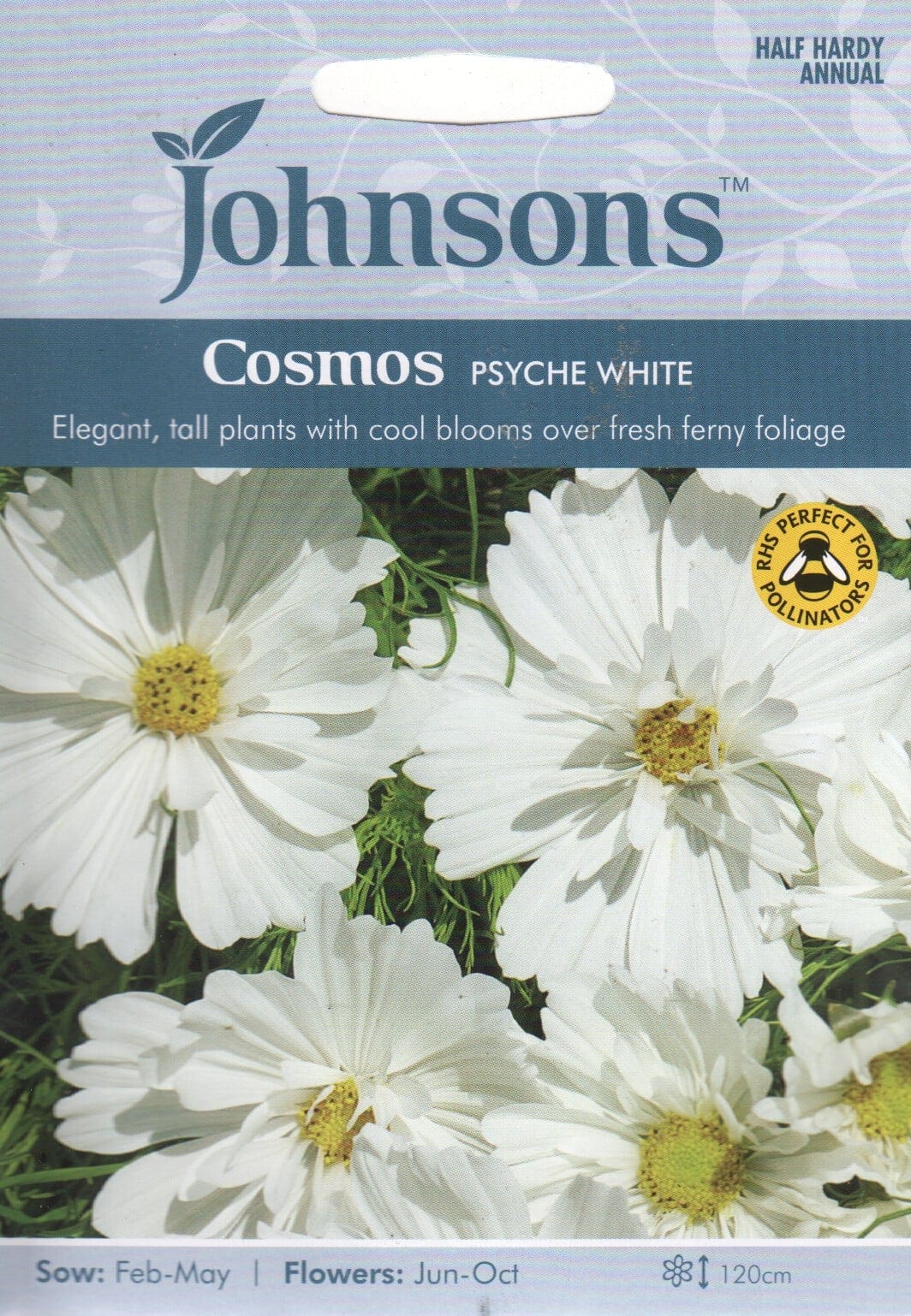 Kosmos "Psyche White"