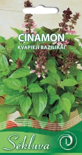 Kaneelibasiilik "Cinamon"