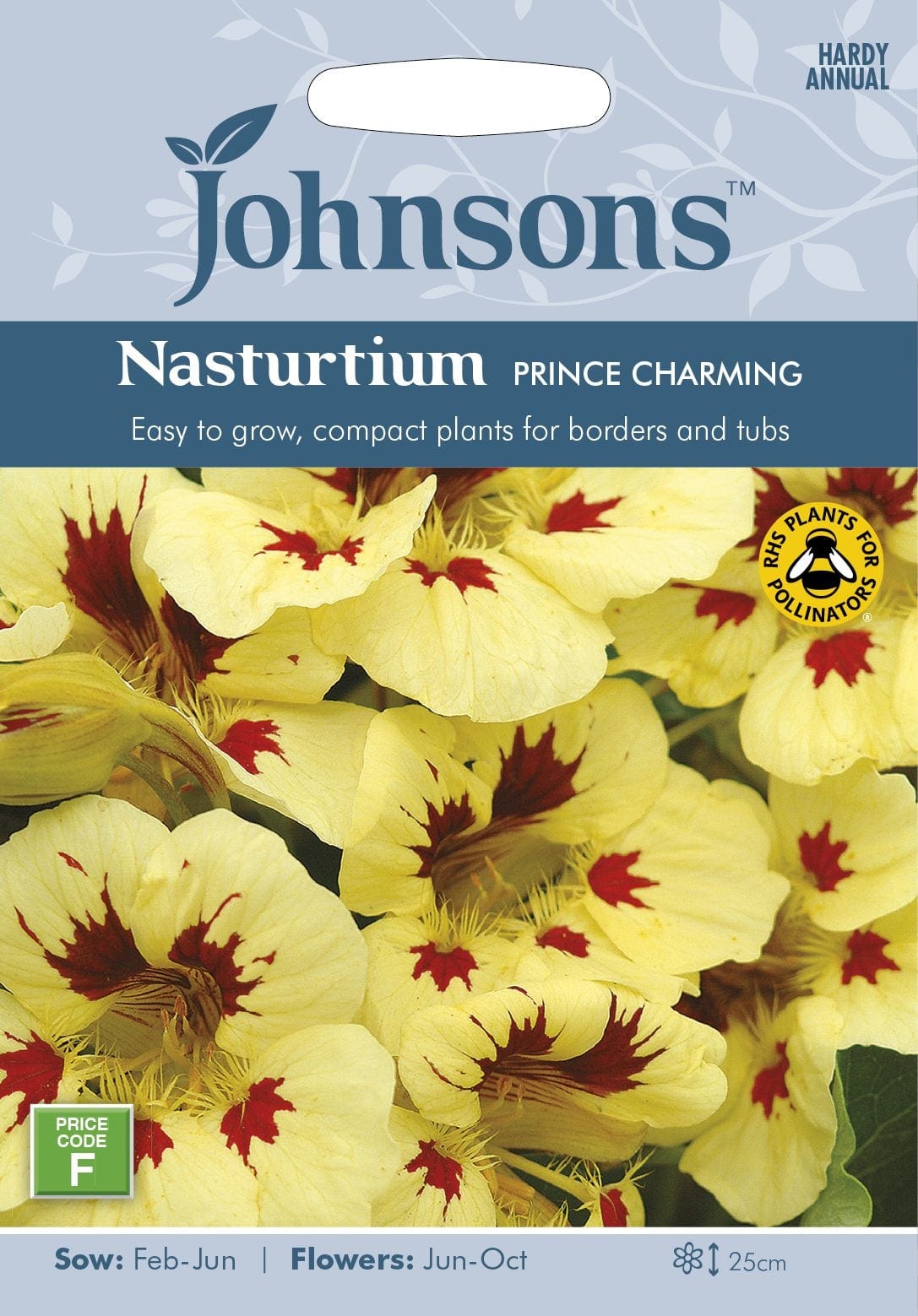 Suur mungalill "Prince Charming"