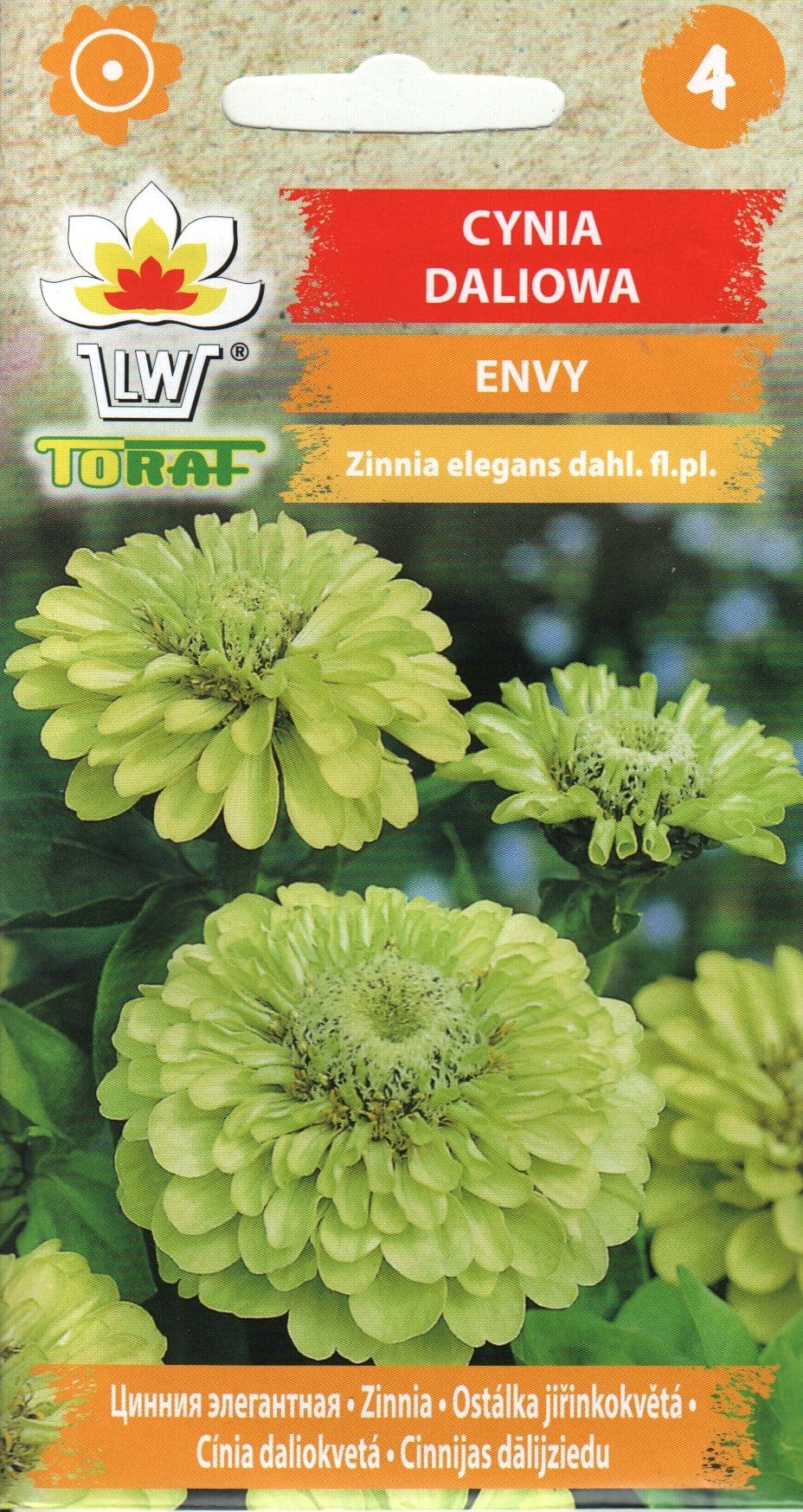 Harilik pruudisõlg "Envy"